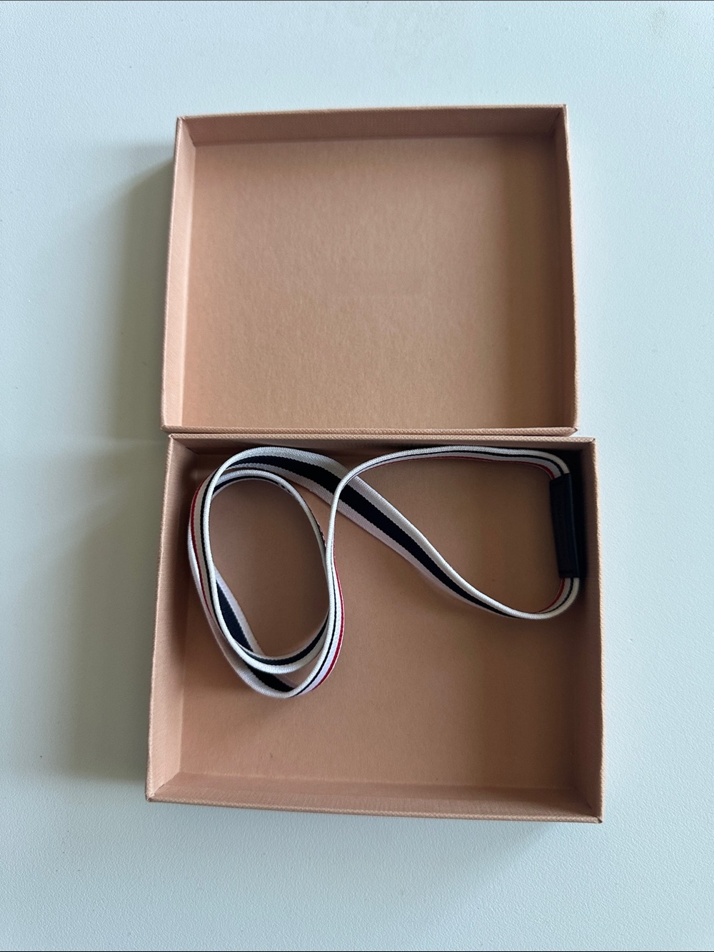 L—Miu Miu Blush Gift Box with Striped Elastic Band